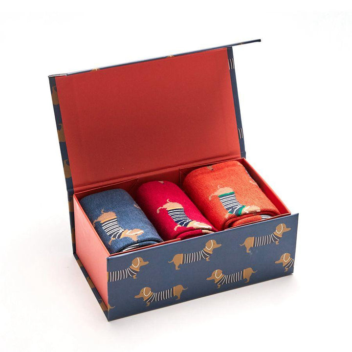 Mr Heron Parisian Pup Socks 3 Pairs Gift Boxed